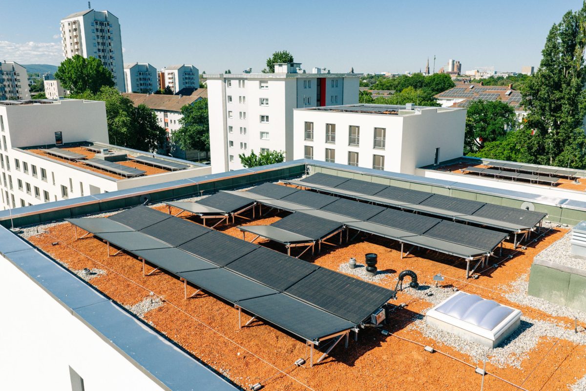 Dachansicht einers Gebäudes am Staudenplatz. Man sieht, dass mehrere PV-Anlagen auf den Dächern verlegt sind.