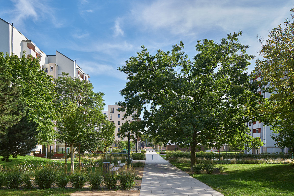 Das Rintheimer Feld hat jetzt tolle, großzügige Grünanlagen. Die Gebäude sehen nach der Modernisierung schön aus.
