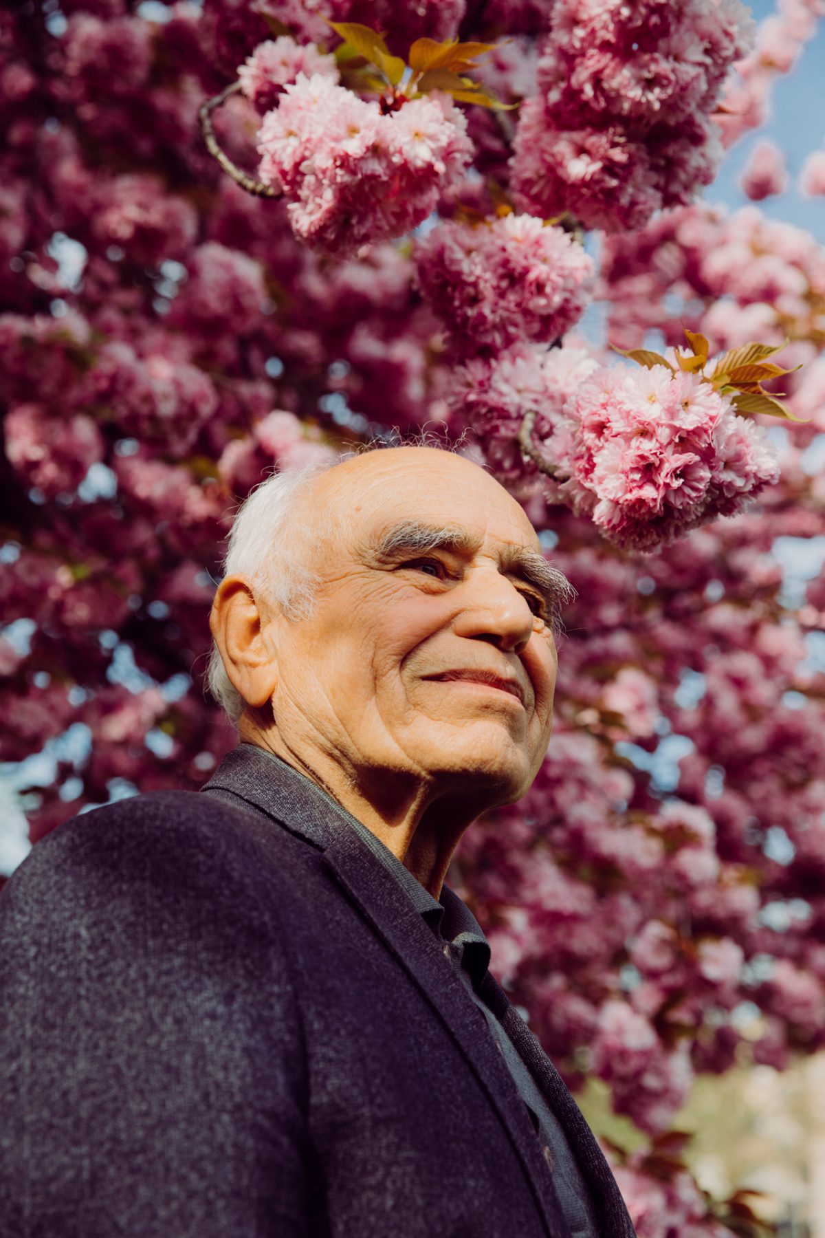 Ein älterer Mann steht selbstbewusst vor einem blühenden Kirschbaum.