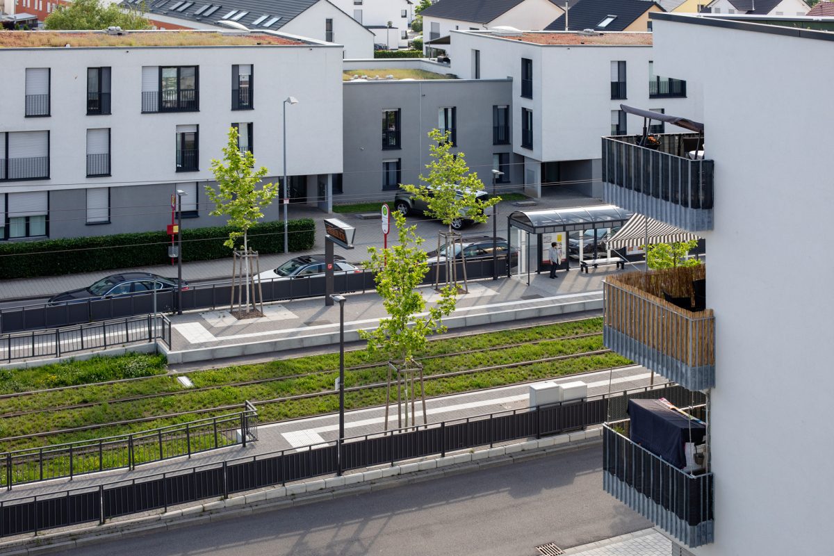 Aussicht von einem Balkon auf die begrünte Straßenbahnhaltestelle in Rintheim.