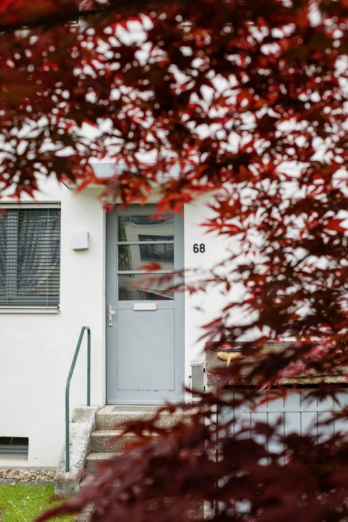 Vor dem Eingang zu einem Ein-Familienhaus in der Dammerstock-Siedlung steht ein rotblättriger Zwergahorn.