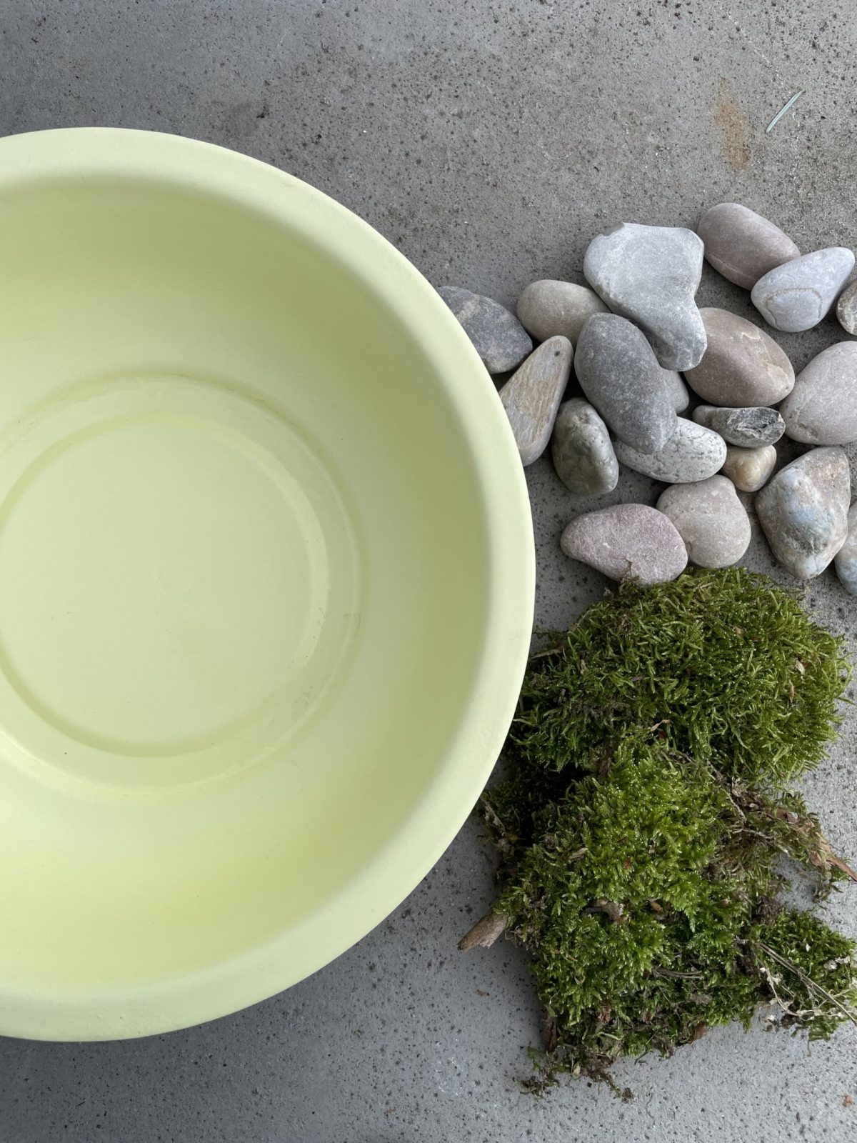 Matreialien für eine schön gestaltete Wasserstelle für Insekten im Garten.