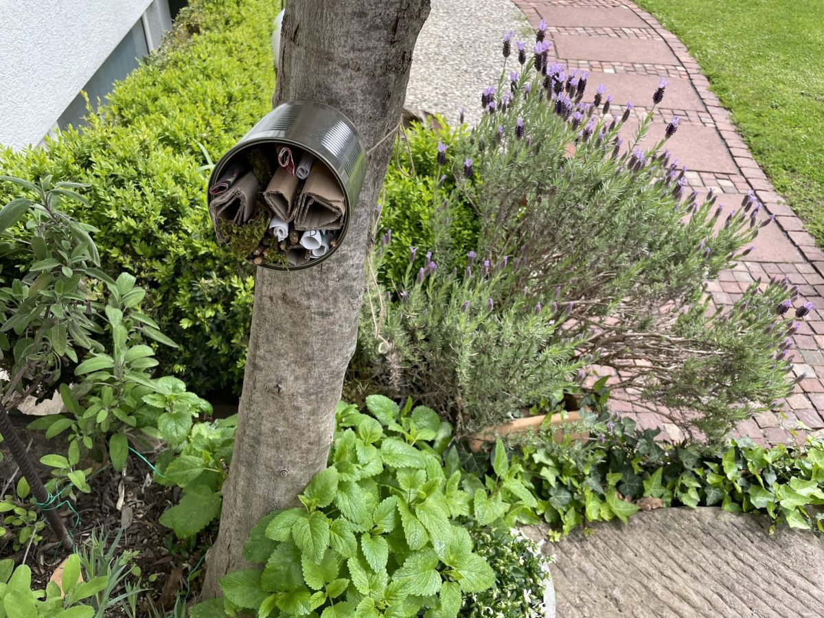 Selbstgemachtes Insektenhotel an einem Baumstamm.