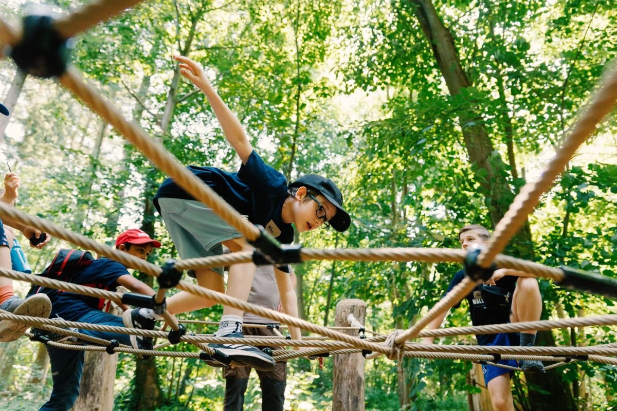 Mehrere Kinder klettern auf einem Klettergerüst im Wald.