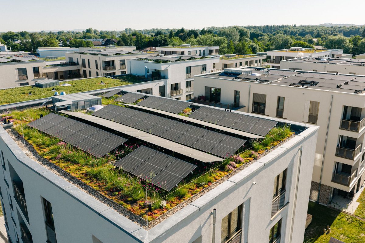 Eine Luftaufnahme des Neubauprojektes in Stutensee. Man Sieht begrünte Dächer, die mit PV-Anlagen bestückt sind.