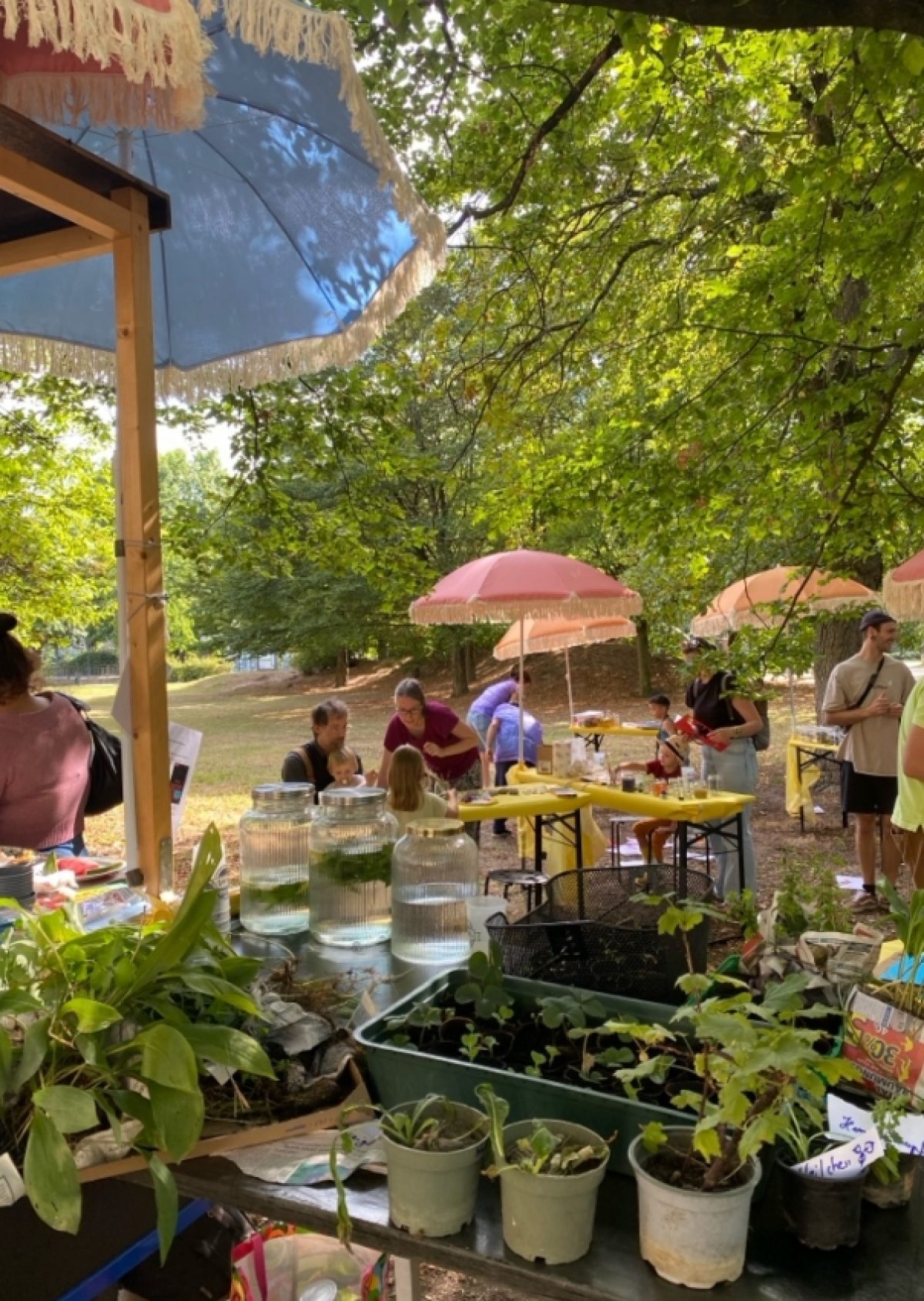 Im Vordergrund sieht man viele Pflanzen. Im Hintergrund sind mehrere Menschen, die sich unterhalten und außerdem Festzeltgarnituren und Sonnenschirme.
